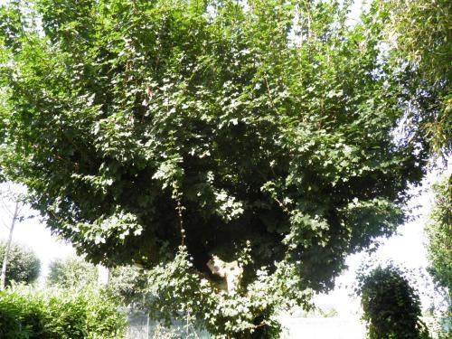 Outdoor Pictures 18