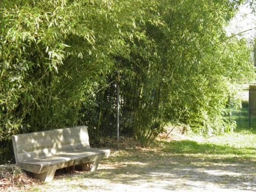 Outdoor Pictures 21