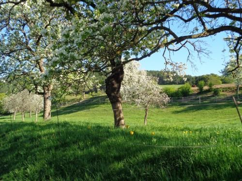 Outdoor Pictures 16