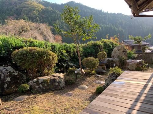 Outdoor Pictures 11