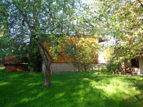 Outdoor Pictures 21