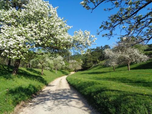 Outdoor Pictures 23