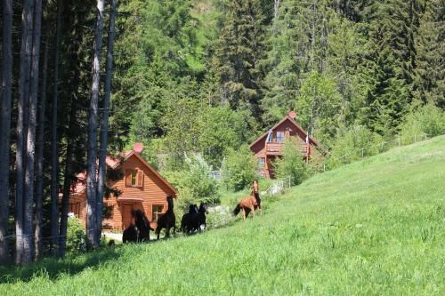 Outdoor Pictures 20