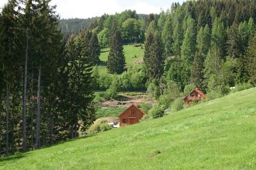 Outdoor Pictures 22