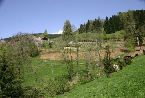 Outdoor Pictures 10