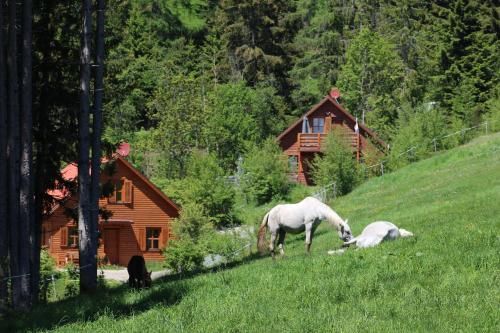 Outdoor Pictures 22
