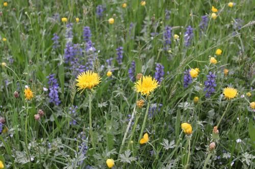 Outdoor Pictures 7