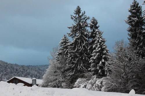 Outdoor Pictures 13