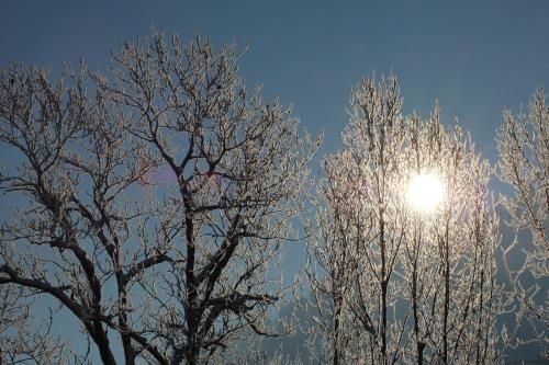 Outdoor Pictures 14