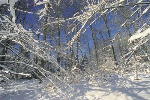 Outdoor Pictures 23