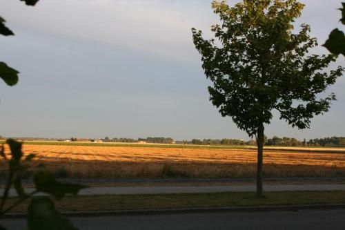 Outdoor Pictures 22
