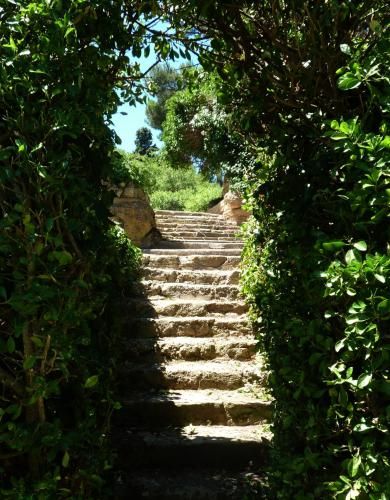 Outdoor Pictures 9