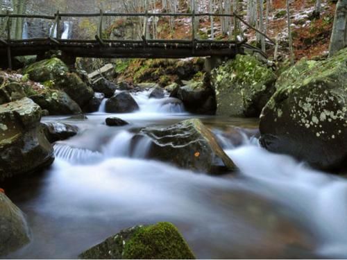 Outdoor Pictures 15