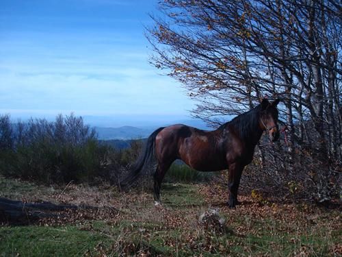 Outdoor Pictures 23