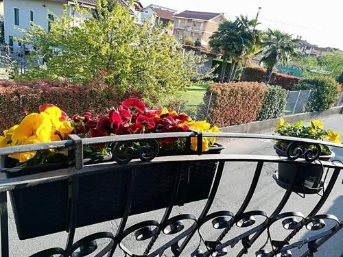 Outdoor Pictures 6