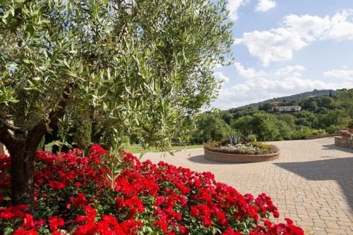 Outdoor Pictures 22