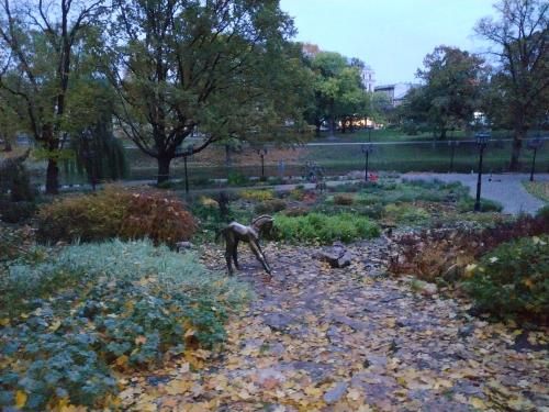 Outdoor Pictures 9
