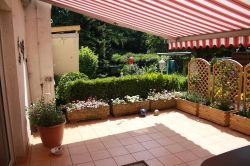 Outdoor Pictures 7