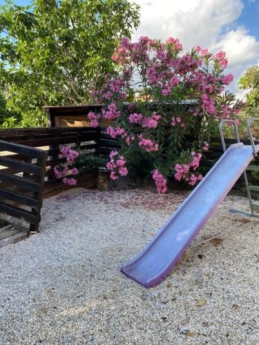 Outdoor Pictures 6