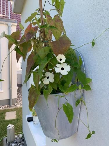 Outdoor Pictures 7