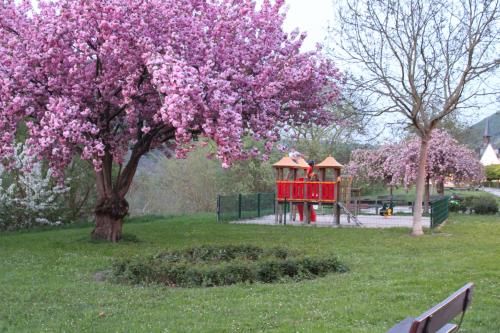 Outdoor Pictures 21