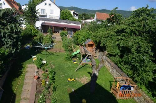 Outdoor Pictures 9