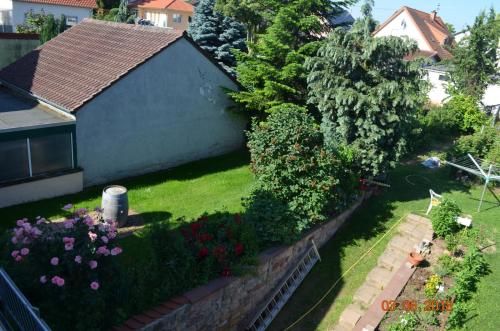 Outdoor Pictures 10