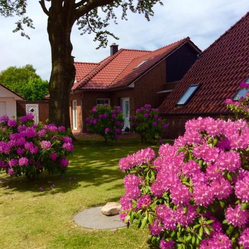 Ferienwohnung Albers