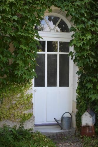 Outdoor Pictures 10