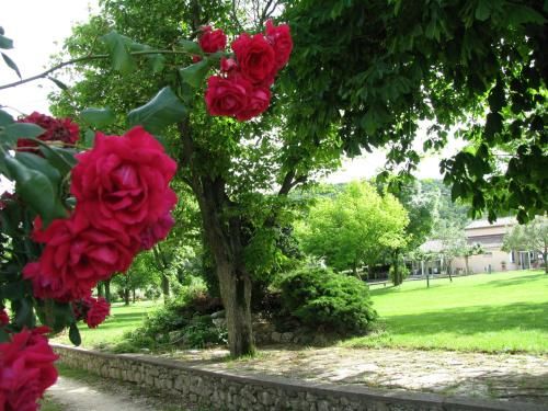 Outdoor Pictures 10