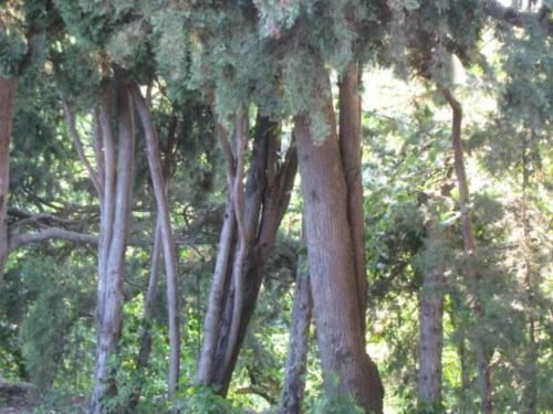 Outdoor Pictures 23
