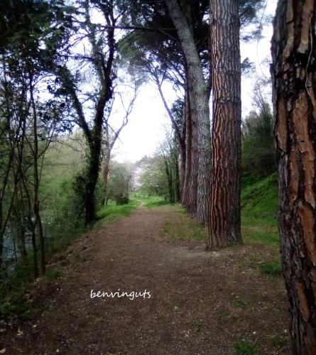 Outdoor Pictures 9