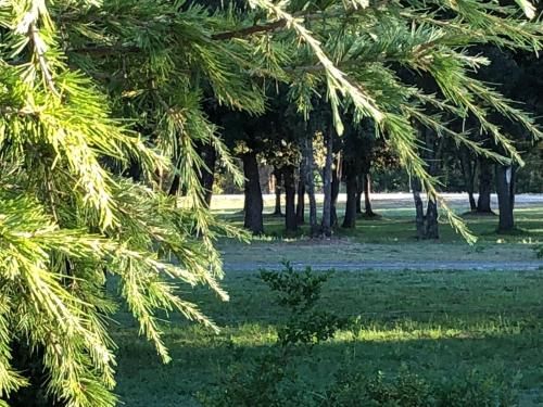 Outdoor Pictures 18