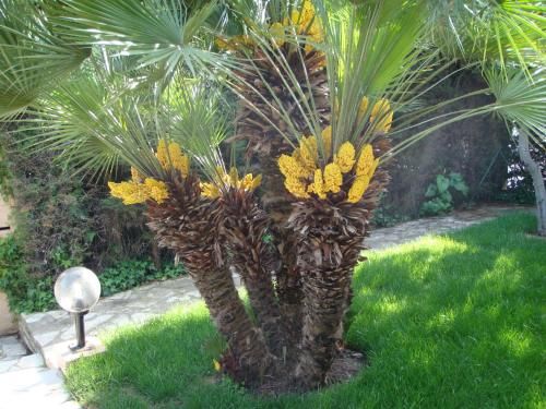 Outdoor Pictures 15