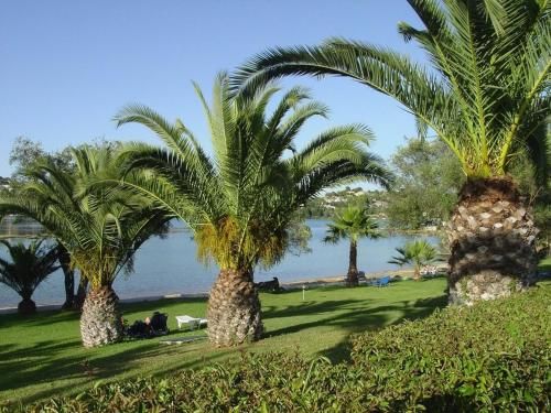 Outdoor Pictures 9