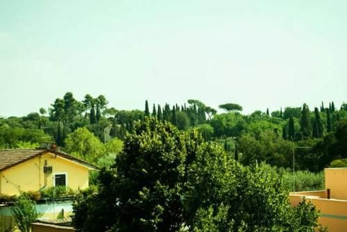 Outdoor Pictures 1