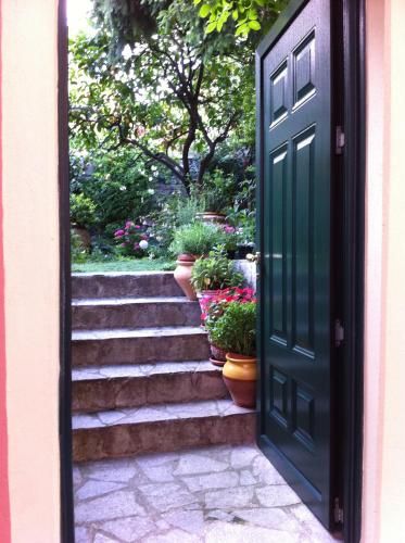 Outdoor Pictures 15