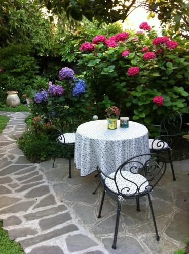 Outdoor Pictures 16