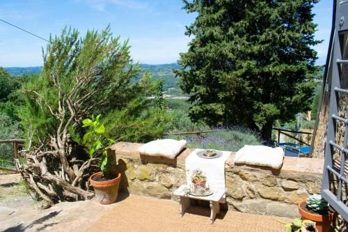 Outdoor Pictures 24