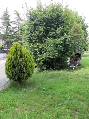 Outdoor Pictures 9