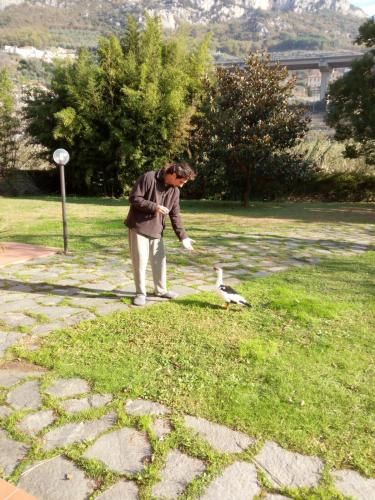 Outdoor Pictures 11