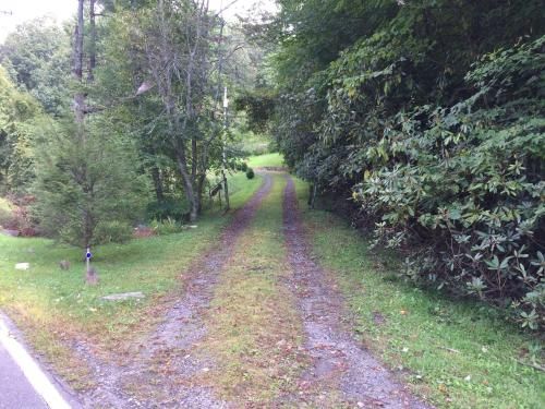 Outdoor Pictures 16