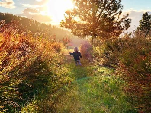 Outdoor Pictures 7