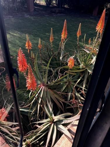 Outdoor Pictures 7