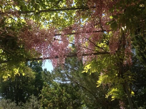 Outdoor Pictures 2