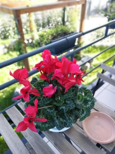 Outdoor Pictures 10