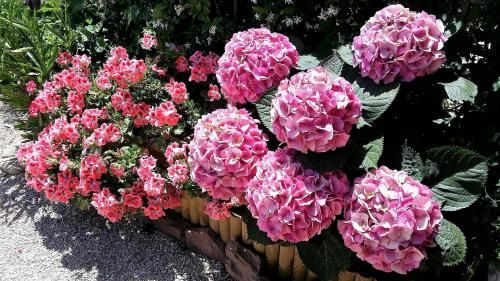 Outdoor Pictures 21
