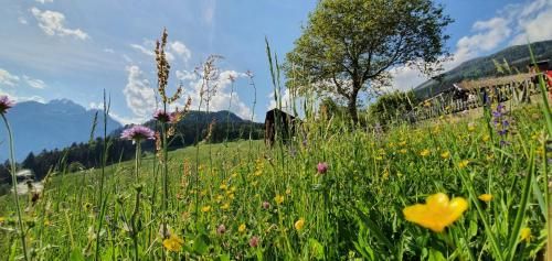 Outdoor Pictures 24