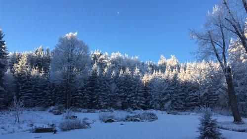 Outdoor Pictures 15