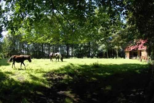Outdoor Pictures 1